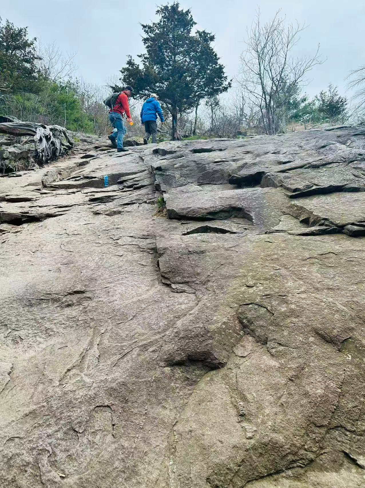 Spring Hike Photo 2
