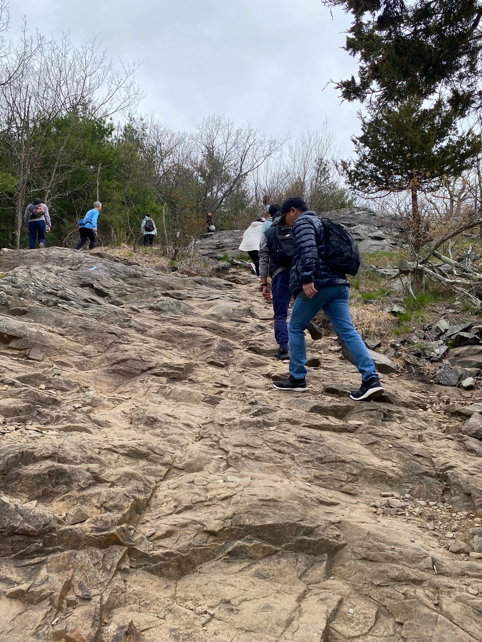 Spring Hike Photo 3
