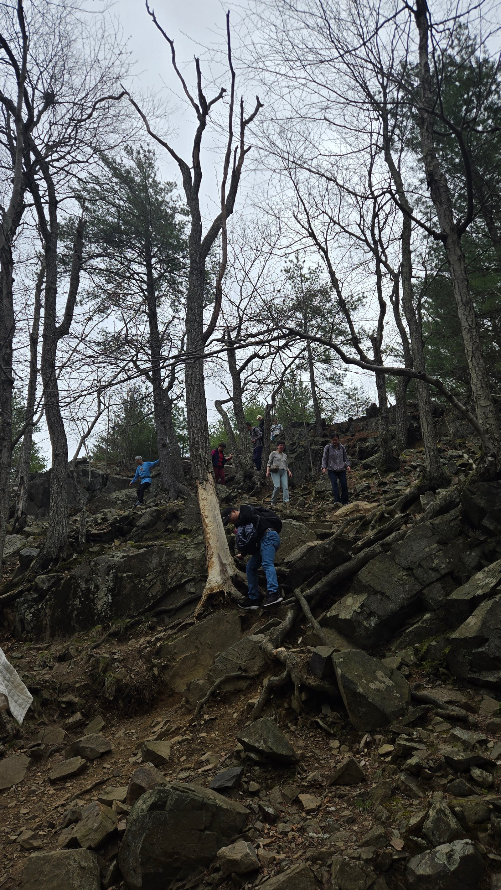 Spring Hike Photo 4